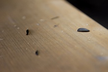 Парк им. Зернова - 26.jpg